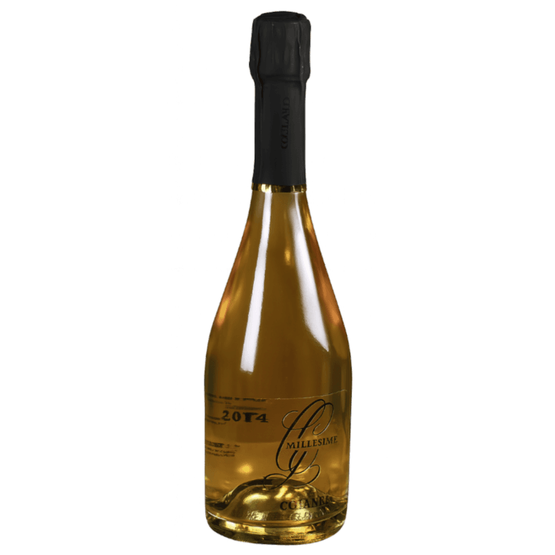 Champagne Gaston Collard - Jaargang 2015 Grand Cru