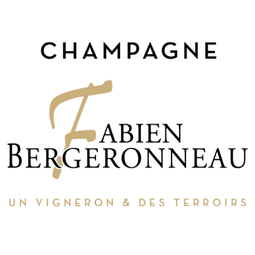 Fabien Bergeronneau logo