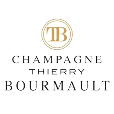 Thierry Bourmault logo